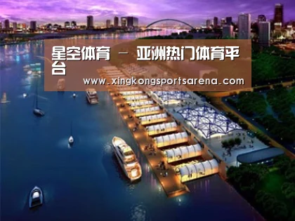 案例展示八
