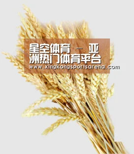 星空体育 - 亚洲热门体育平台
