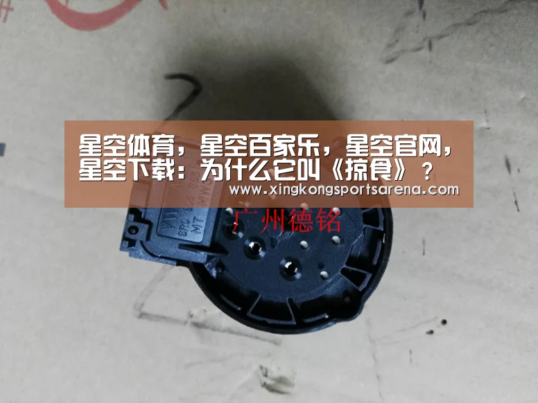 星空体育,星空百家乐,星空官网,星空下载:为什么它叫《掠食》?制作商表示因为取名太难(图2) 星空体育,星空百家乐,星空官网,星空下载