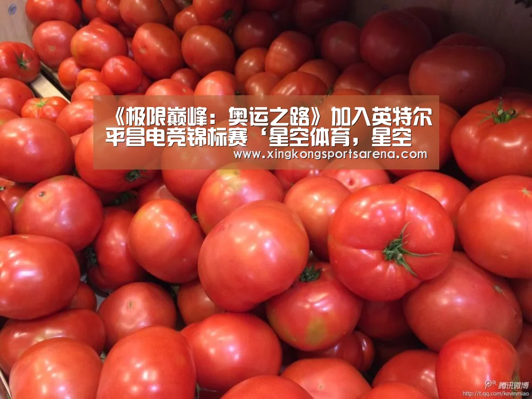 《极限巅峰:奥运之路》加入英特尔平昌电竞锦标赛‘星空体育,星空百家乐,星空官网,星空下载’(图1) 星空体育,星空百家乐,星空官网,星空下载