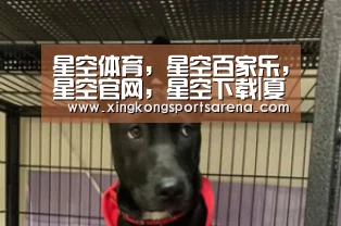 星空体育，星空百家乐，星空官网，星空下载