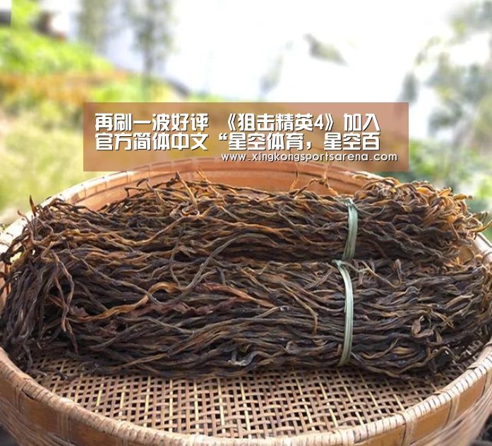 再刷一波好评 《狙击精英4》加入官方简体中文“星空体育,星空百家乐,星空官网,星空下载”(图3) 星空体育,星空百家乐,星空官网,星空下载
