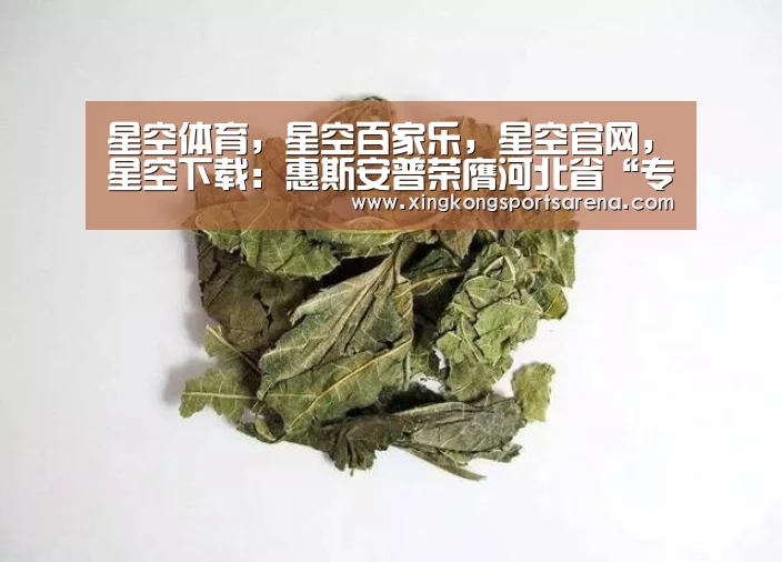 星空体育,星空百家乐,星空官网,星空下载:惠斯安普荣膺河北省“专精特新”企业(图1) 星空体育,星空百家乐,星空官网,星空下载