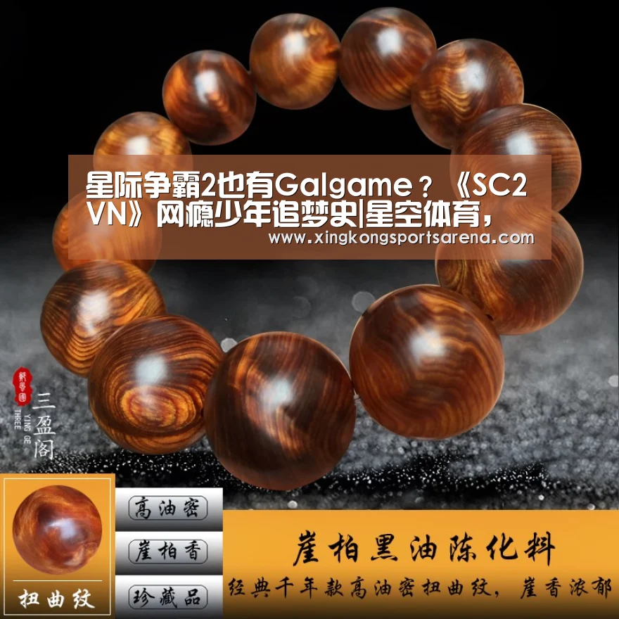 星际争霸2也有Galgame?《SC2VN》网瘾少年追梦史|星空体育,星空百家乐,星空官网,星空下载(图1) 星空体育,星空百家乐,星空官网,星空下载