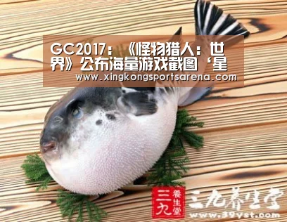 星空体育，星空百家乐，星空官网，星空下载