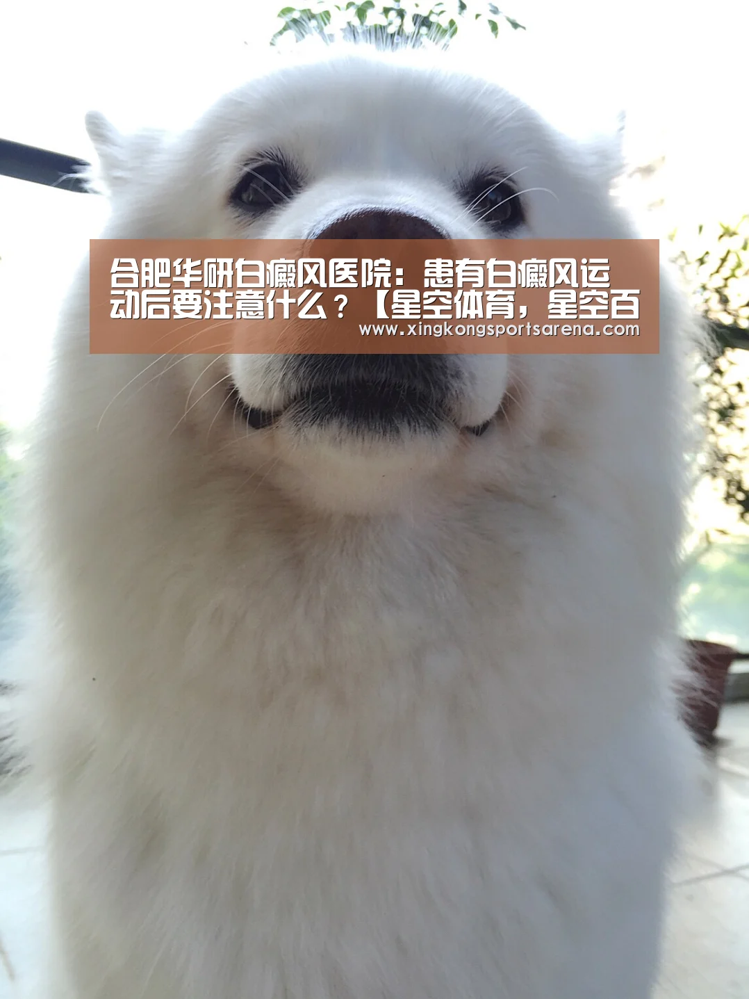 合肥华研白癜风医院:患有白癜风运动后要注意什么?【星空体育,星空百家乐,星空官网,星空下载】(图3) 星空体育,星空百家乐,星空官网,星空下载