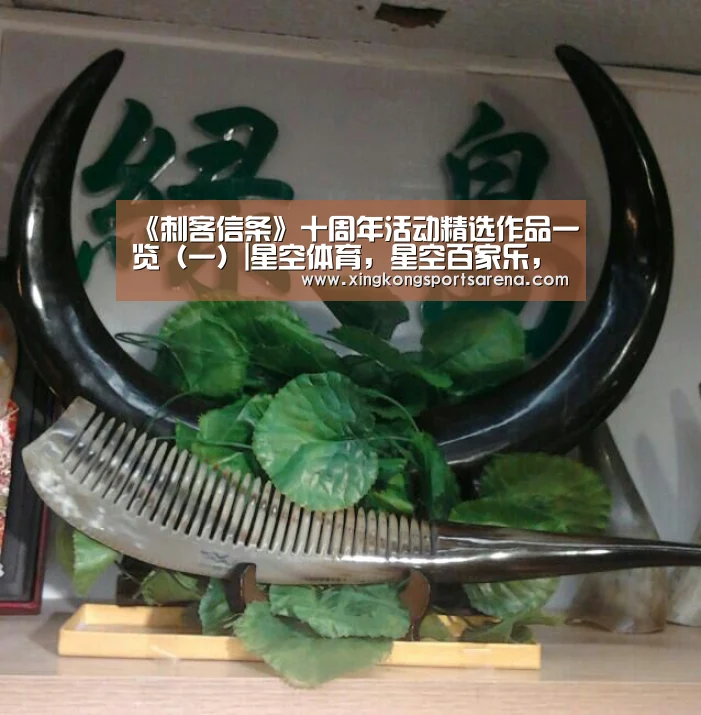 《刺客信条》十周年活动精选作品一览(一)|星空体育,星空百家乐,星空官网,星空下载(图3) 星空体育,星空百家乐,星空官网,星空下载
