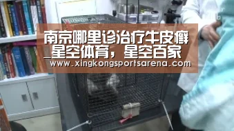 南京哪里诊治疗牛皮癣_星空体育,星空百家乐,星空官网,星空下载(图2) 星空体育,星空百家乐,星空官网,星空下载